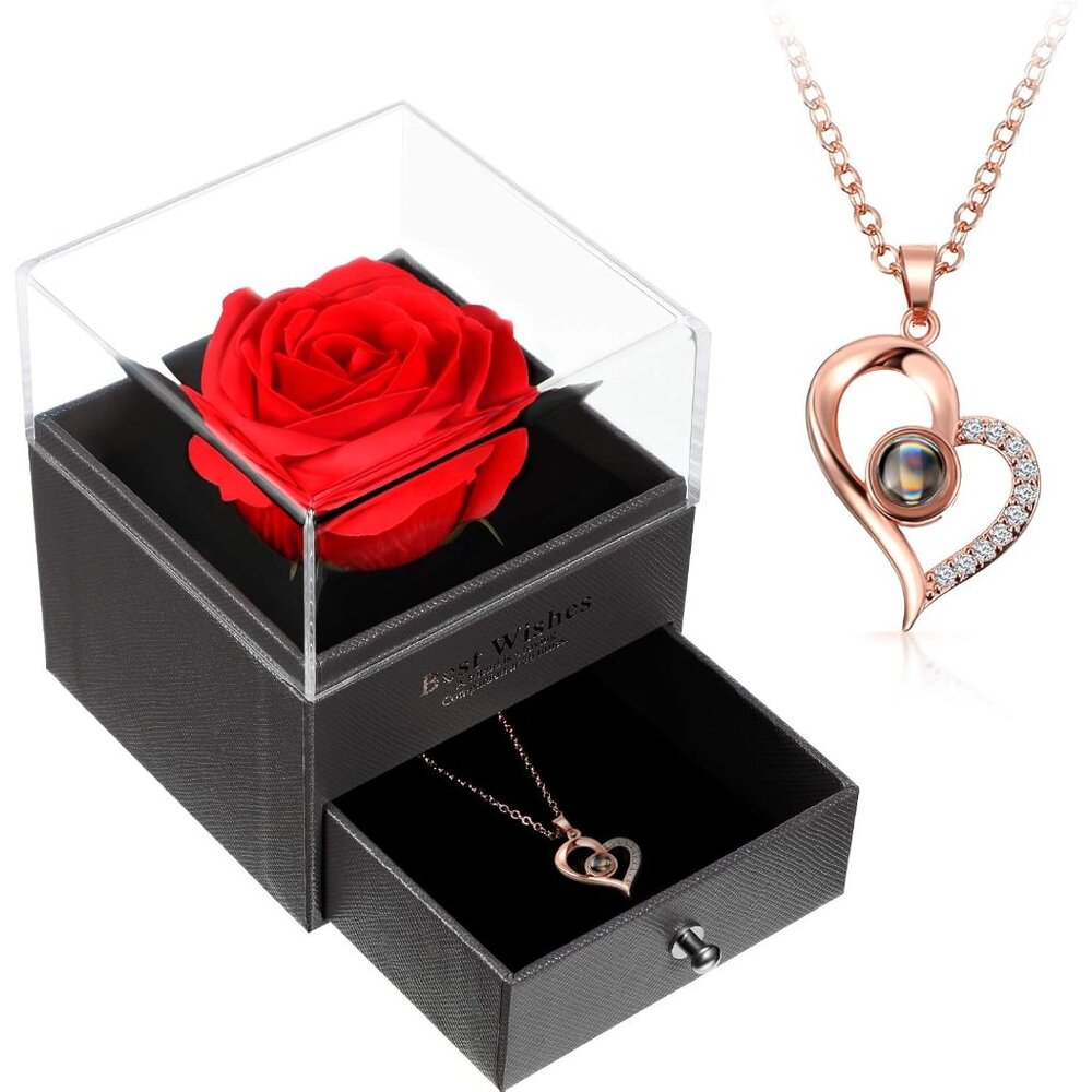 Valentine Necklace Gift for Girlfriend I Love You in 100 Languages Projection Ne